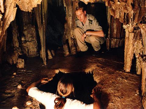 Tourist attractions in the area